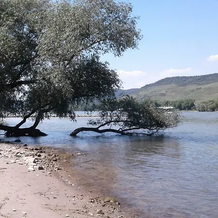 Fewo Batek Trechtingshausen Buitenkant foto